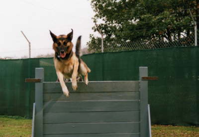 Training auf der Air Base