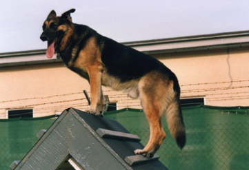 Training auf der Air Base