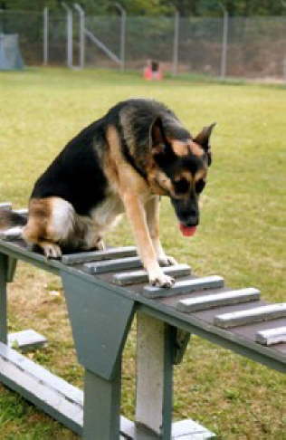 Training auf der Air Base